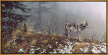 Load image into Gallery viewer, Silent Snows
