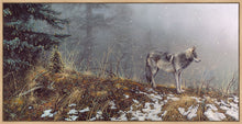 Load image into Gallery viewer, Silent Snows
