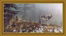 Load image into Gallery viewer, Silent Snows
