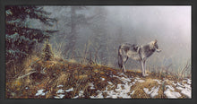 Load image into Gallery viewer, Silent Snows
