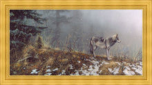 Load image into Gallery viewer, Silent Snows
