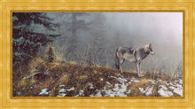 Load image into Gallery viewer, Silent Snows
