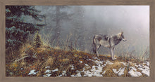 Load image into Gallery viewer, Silent Snows
