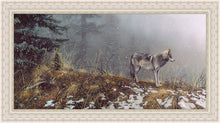 Load image into Gallery viewer, Silent Snows
