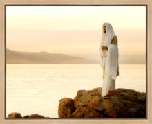 Load image into Gallery viewer, Light of the World
