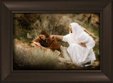 Load image into Gallery viewer, The Comforter

