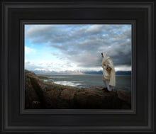 Load image into Gallery viewer, Alone Shepherd
