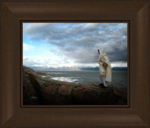 Load image into Gallery viewer, Alone Shepherd
