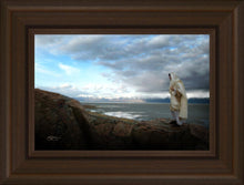 Load image into Gallery viewer, Alone Shepherd
