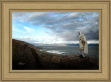 Load image into Gallery viewer, Alone Shepherd
