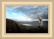 Load image into Gallery viewer, Alone Shepherd
