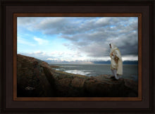 Load image into Gallery viewer, Alone Shepherd
