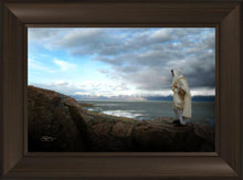 Load image into Gallery viewer, Alone Shepherd
