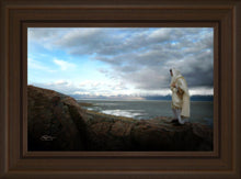 Load image into Gallery viewer, Alone Shepherd
