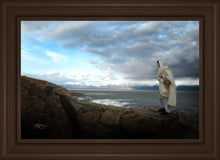 Load image into Gallery viewer, Alone Shepherd
