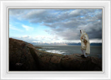 Load image into Gallery viewer, Alone Shepherd
