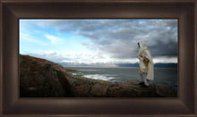 Load image into Gallery viewer, Alone Shepherd
