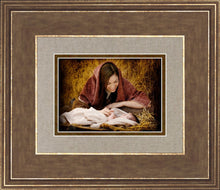 Load image into Gallery viewer, A Mother's Love
