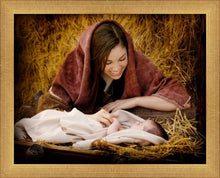 Load image into Gallery viewer, A Mother's Love
