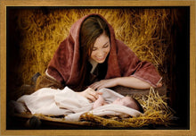 Load image into Gallery viewer, A Mother's Love
