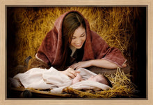 Load image into Gallery viewer, A Mother's Love
