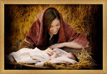 Load image into Gallery viewer, A Mother's Love
