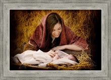 Load image into Gallery viewer, A Mother's Love
