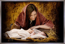 Load image into Gallery viewer, A Mother's Love
