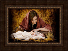 Load image into Gallery viewer, A Mother's Love
