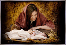 Load image into Gallery viewer, A Mother's Love
