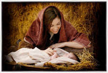 Load image into Gallery viewer, A Mother's Love
