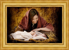 Load image into Gallery viewer, A Mother's Love
