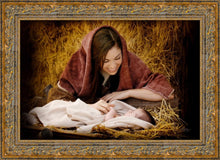 Load image into Gallery viewer, A Mother's Love
