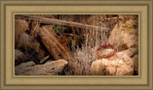 Load image into Gallery viewer, Golgotha
