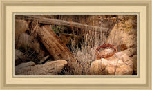 Load image into Gallery viewer, Golgotha
