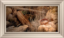Load image into Gallery viewer, Golgotha
