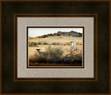 Load image into Gallery viewer, In Search of the One

