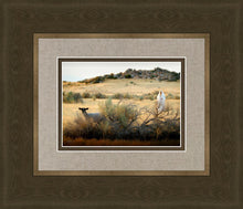 Load image into Gallery viewer, In Search of the One
