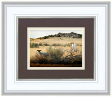 Load image into Gallery viewer, In Search of the One
