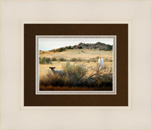 Load image into Gallery viewer, In Search of the One

