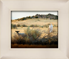 Load image into Gallery viewer, In Search of the One

