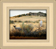 Load image into Gallery viewer, In Search of the One
