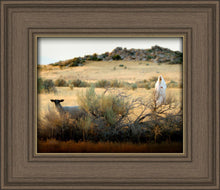 Load image into Gallery viewer, In Search of the One
