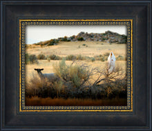 Load image into Gallery viewer, In Search of the One
