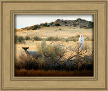 Load image into Gallery viewer, In Search of the One
