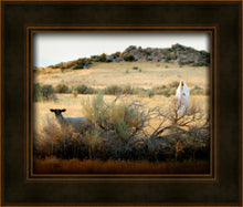 Load image into Gallery viewer, In Search of the One
