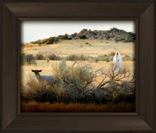 Load image into Gallery viewer, In Search of the One
