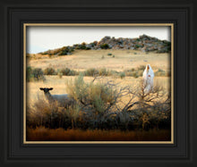 Load image into Gallery viewer, In Search of the One
