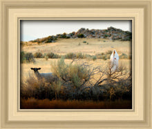 Load image into Gallery viewer, In Search of the One
