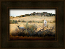 Load image into Gallery viewer, In Search of the One
